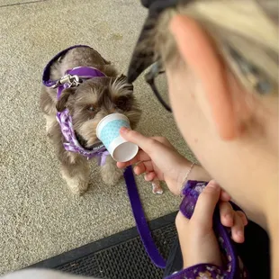 A puppucino with a biscuit inside. Such a sweet touch for the girls.