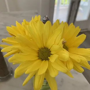 a vase of yellow flowers