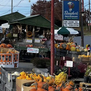 Get Your Apple Cider at the market