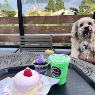 Strawberry pancake, ube and panda soft serve, pandan latte