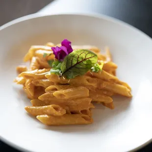 pasta dish, food, pasta
