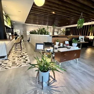 interior, sushi and sashimi