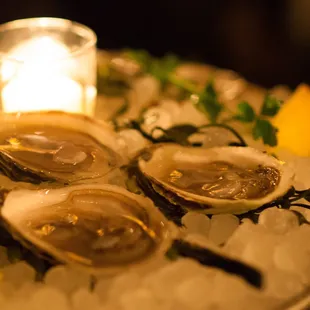 oysters, mussels, oysters and mussels, shellfish, food