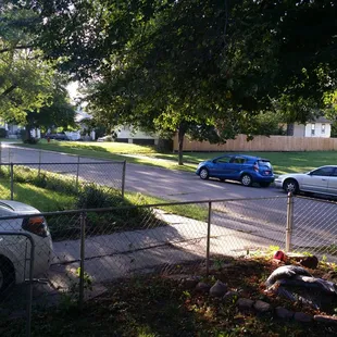 It's nice to have new