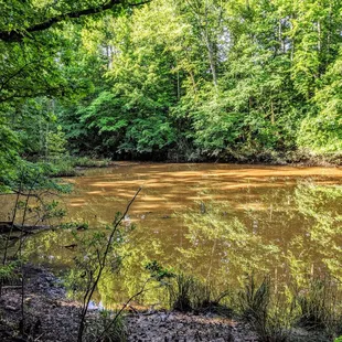 Carolina Thread Trail