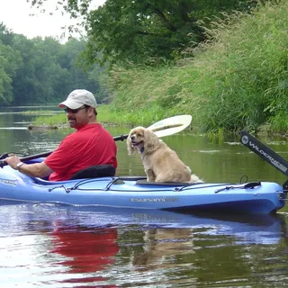 KayakerDog O.