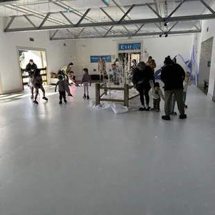 Iceless Skating Rink