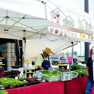 So many veggies!