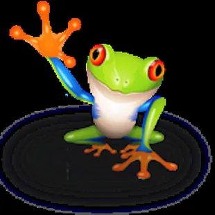 a frog on a black surface