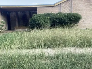 Palm Bay Rentals And Sales