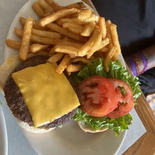 Hamburger or Cheeseburger