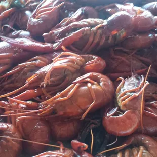 Crawfish! Yummmmmmmy!