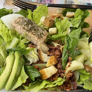 Yes that is the amount of Salmon that is on the Salmon Cobb!!