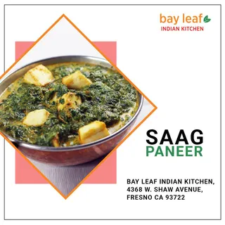 Saag Paneer