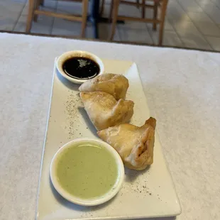 CL01. Vegetarian Samosa