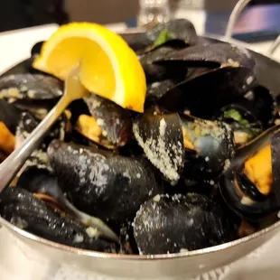 oysters, food, oysters and mussels, mussels, shellfish