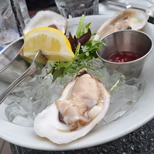 Raw Oysters