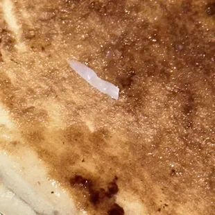 The thing I found in my pancakes