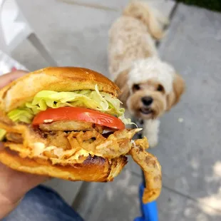 Soft Shell Crab Sandwich. Sorry... not for you pup. ;-p