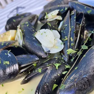 Mussel in wine sauce