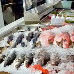 food, sushi and sashimi