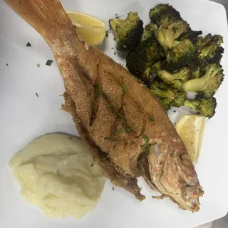 Red Snapper