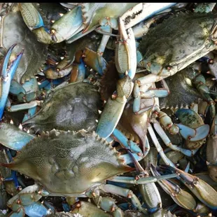 a pile of blue crabs
