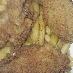 5 piece lemon pepper wings w/fries