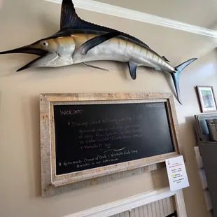 a marlin fish mounted on a wall