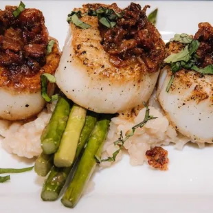 Scallops