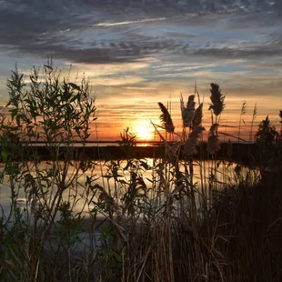 Sunrise at Bay Tree Manor