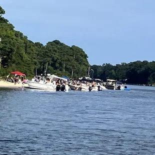 Bay Venture Boat Rentals