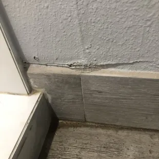 Paint coming off and mold