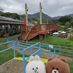 Let's do zipline first!