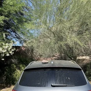 The rock she threw on top of my car