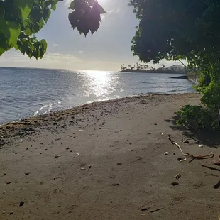 Back of the house. Small sandy area before the water.