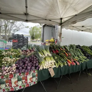 Salad bar at Ledesma stand