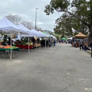  wide variety of fruits and vegetables