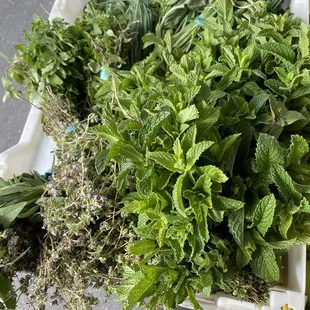 Organic herbs at Ledesma stand