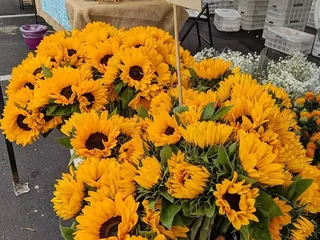 Castro Valley Farmers' Market