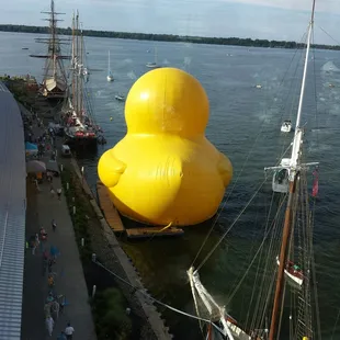 Duck's booty from the sky bridge