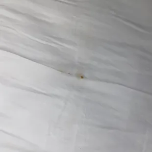 Stain sheets and dirty beds!!