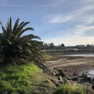 Beautiful view ft palm tree