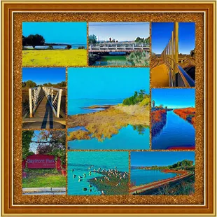Montage of images from Bayfront Park