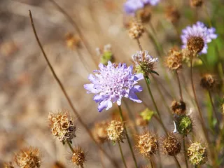 Benicia State Recreation Area