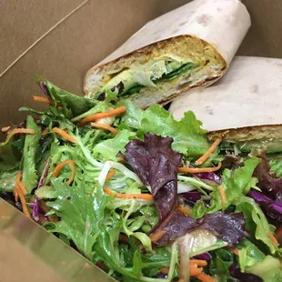 Mediterranean Panini