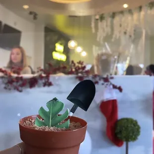 Cute decor!