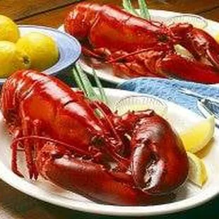 DELICIOUS LOBSTER!