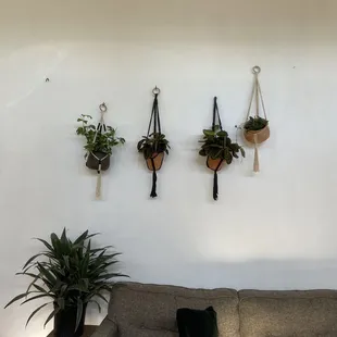 Bayly Botanicals