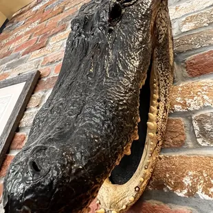 Watch out for the locals.